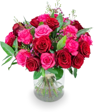 RED CLAIR_VELKA_IMG_1532_eRGB.png